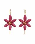 Brincos de flor de laranjeira rosa