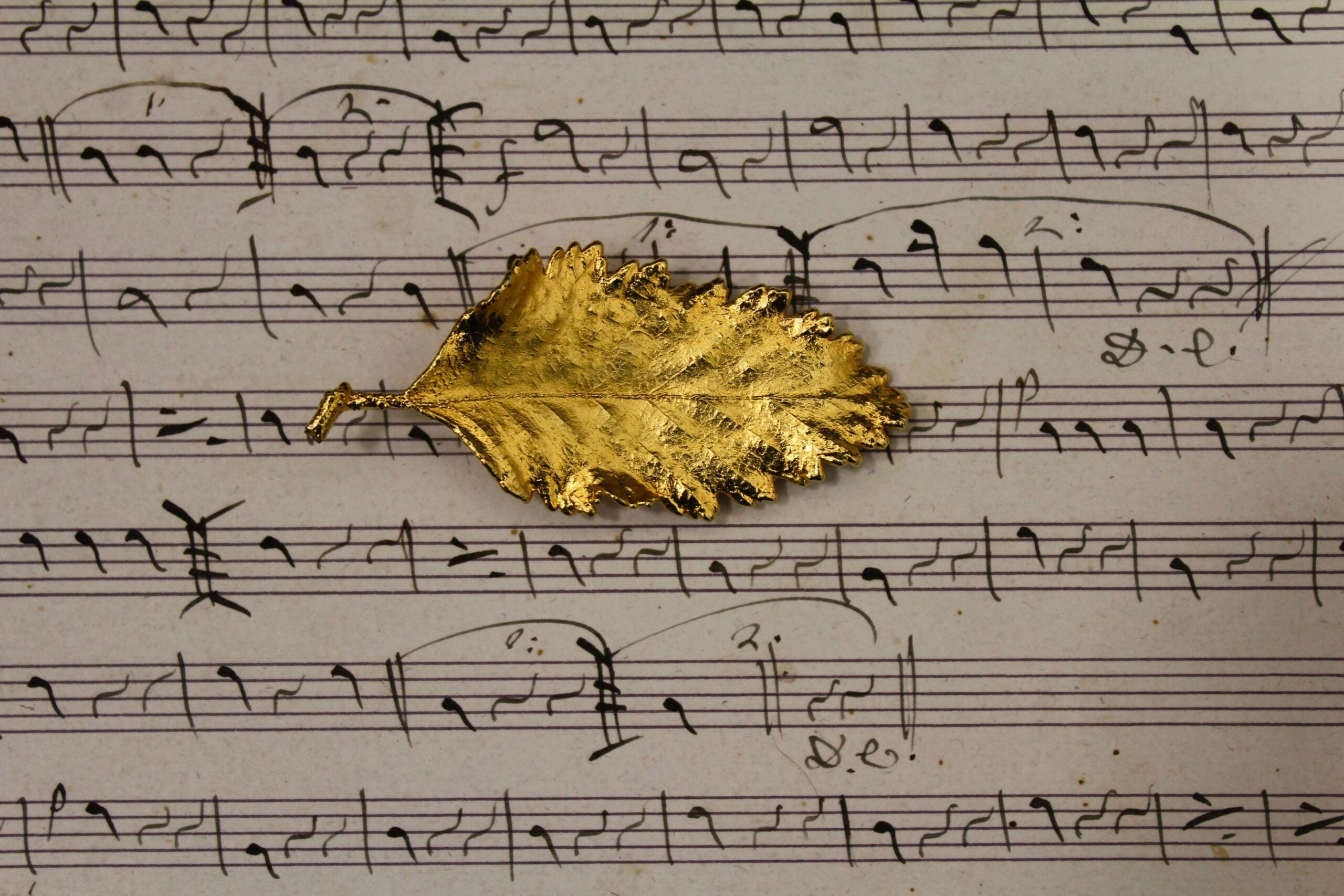 Broche vintage francés hoja de encina dorada