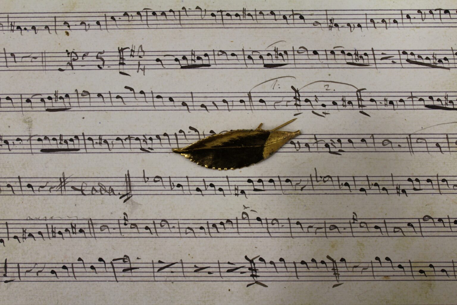 Broche vintage francés hoja de olmo dorado