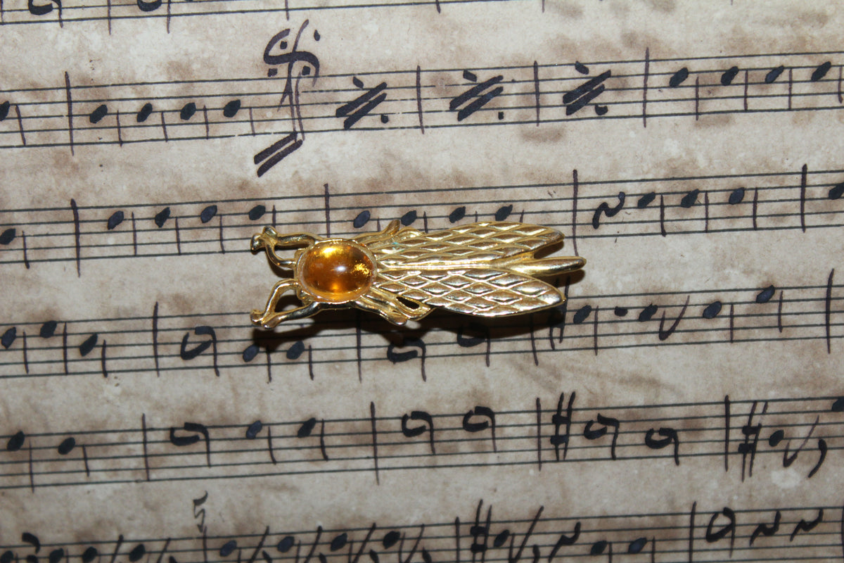 Broche Vintage Cigarra