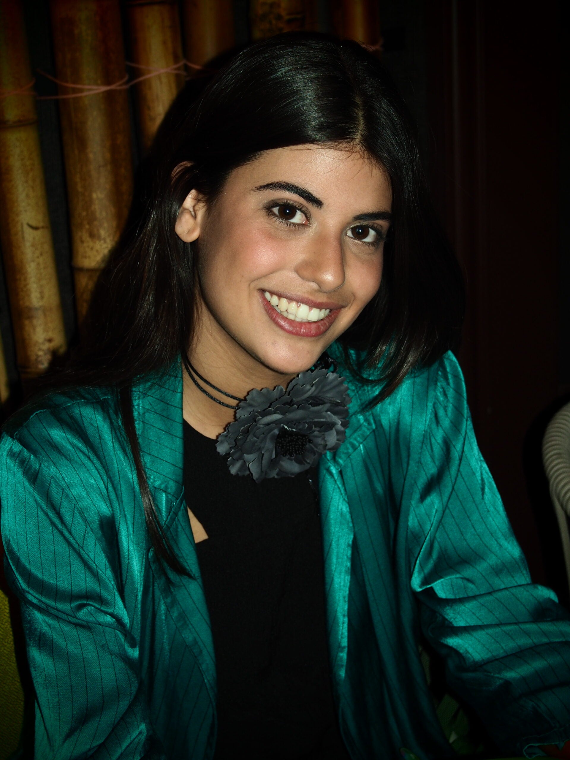 Cravo multifuncional (para o cabelo, colar ou pregadeira) (várias cores)