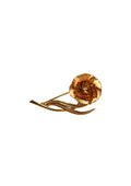 Broche Vintage Clavel