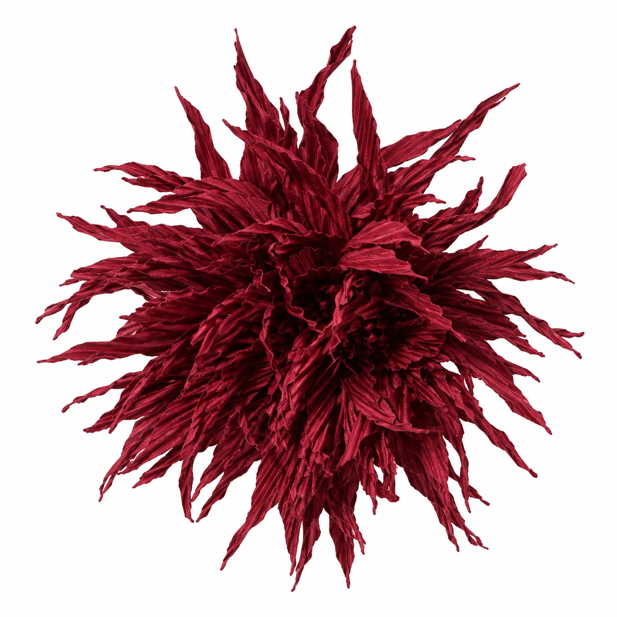 Flor multiposición Protea