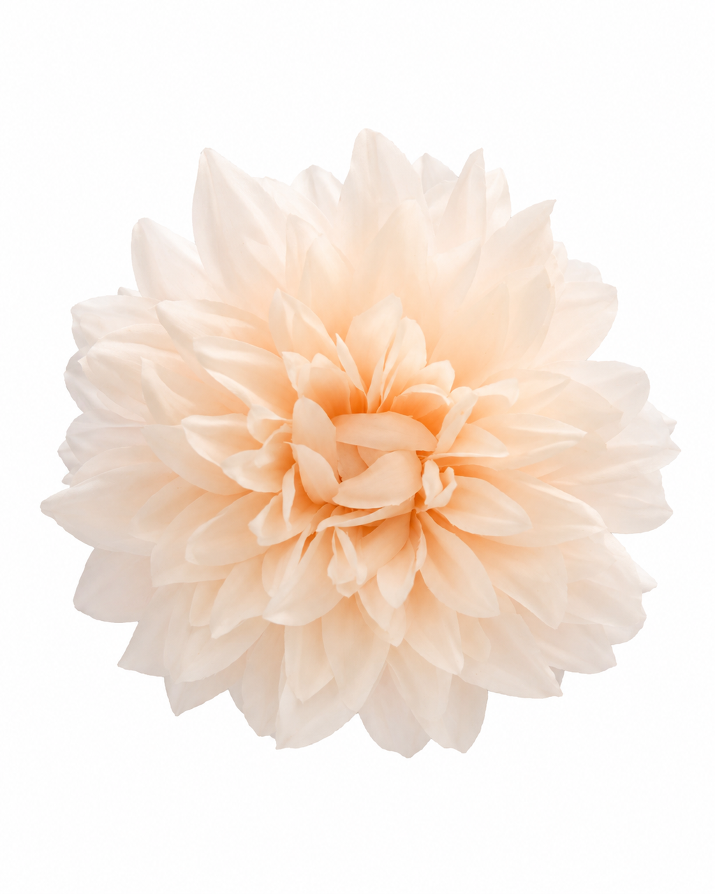 Flor de dália multiusos (para o cabelo ou pregadeira) em várias cores.